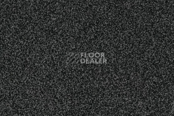 Ковровая плитка Modulyss Force Force 096 фото 1 | FLOORDEALER